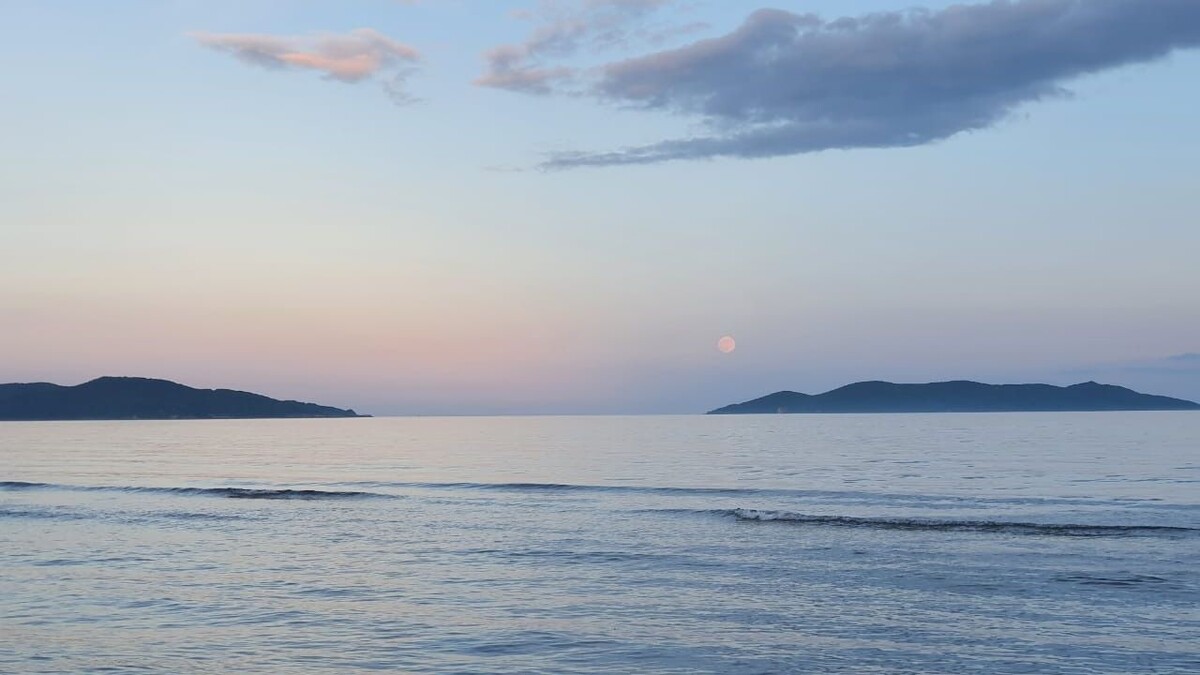     Источник: vostokmedia.com