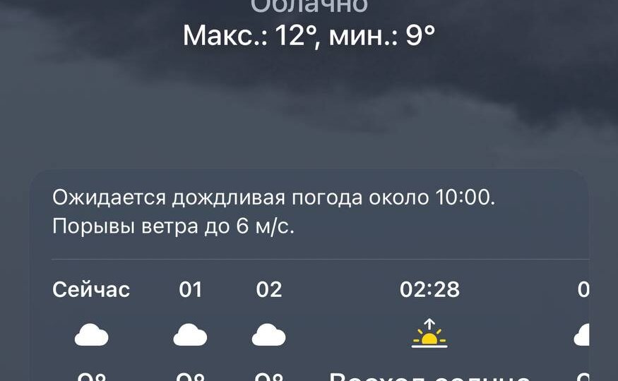 Когда экипировка создаётся для фронта, а тестируется в тундре