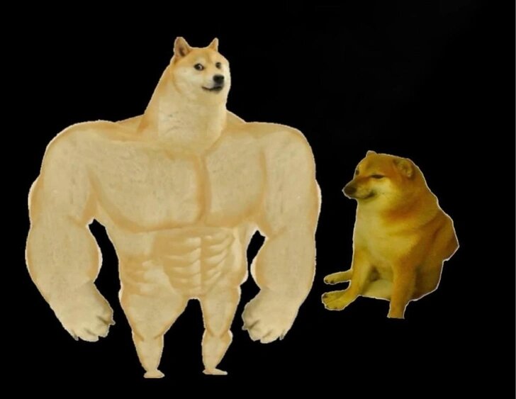 Вавилова показала карикатуру на себя и Павла