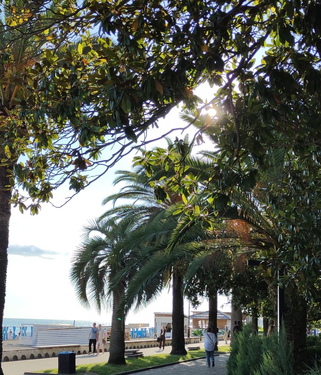 Набережная в старой Гагре 