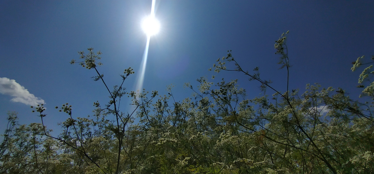 Личное фото