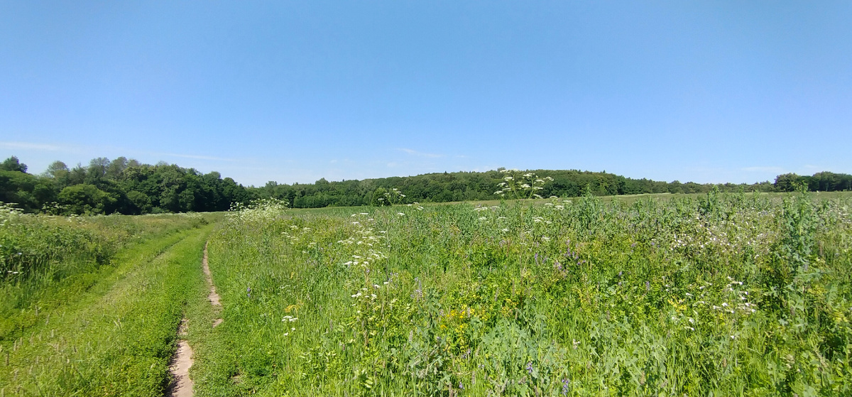 Личное фото