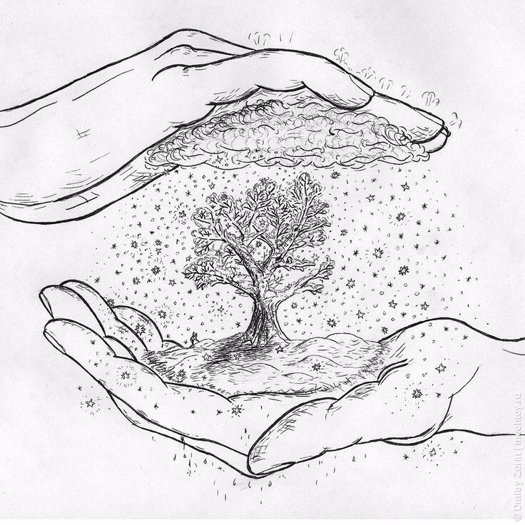 (рисунок из свободного доступа в интернете)