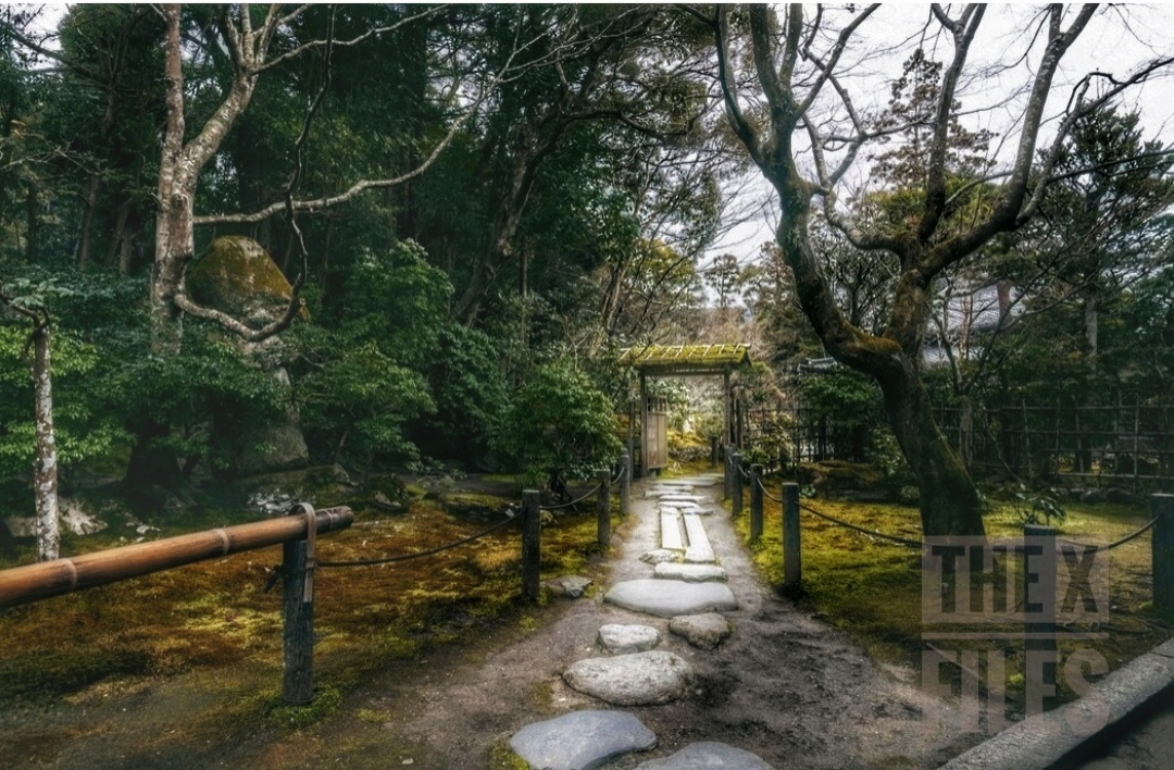 Аокигахара - Проклятый лес у горы Фудзи.