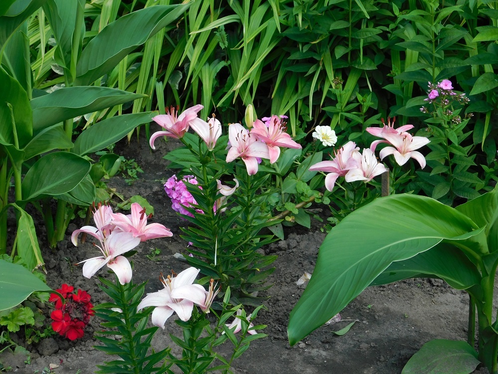    Фотография Анны Зубаревой