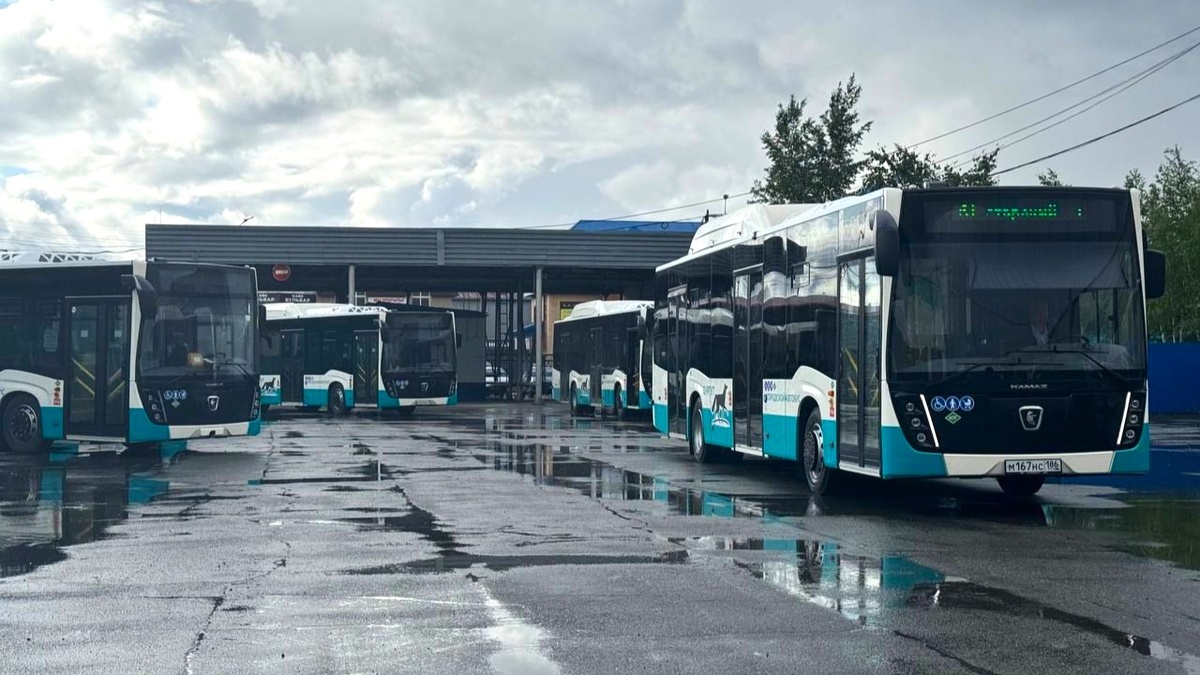    На улицы Сургута выйдут новые автобусы