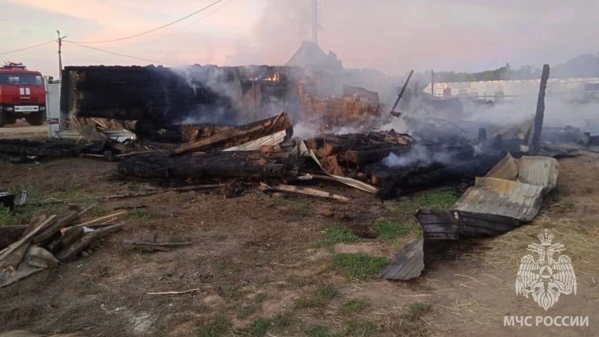    Фото: t.me/mchs_official