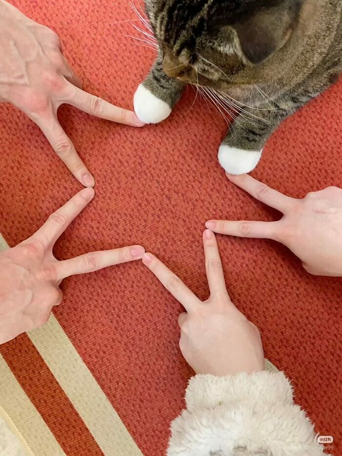 ÐÑÑÐ¾ÑÐ½Ð¸Ðº: @catlollies