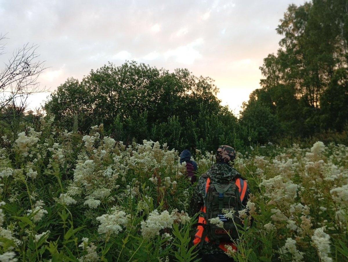    На поиски Екатерины Петровны вышли более 70 человек. Фото: сообщество VK «Поисковый отряд "ЛизаАлерт" Ярославской области»