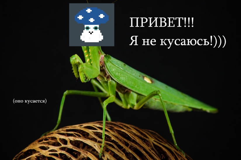 НЕИЗВЕСТНЫЙ ОБЪЕКТ В СТАТЬЕ...