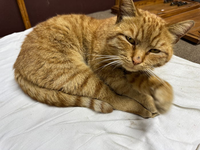 Фото для иллюстрации.