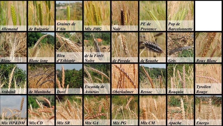    Фото: Published by Cambridge University Press