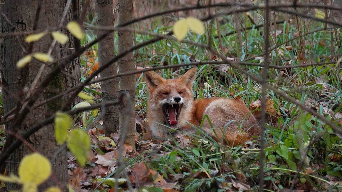    Фото: Анатолий Цымбалюк / Вечерняя Москва