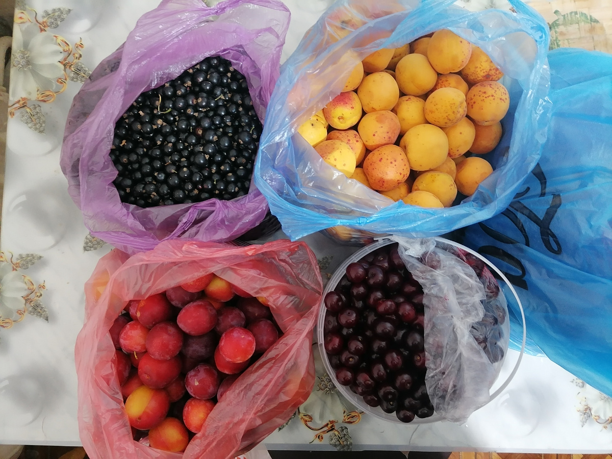 Покупки на рынке