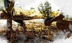 Изображение от freepik  📷
