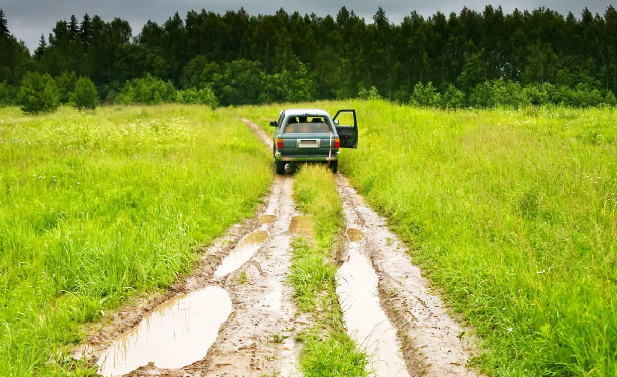 Яндекс картинки