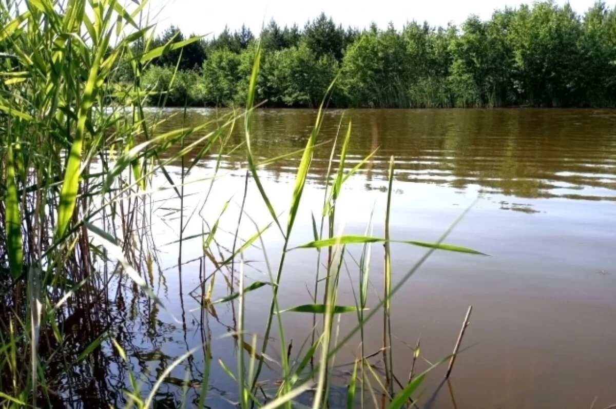    В Пермском крае из воды достали тело 44-летнего мужчины