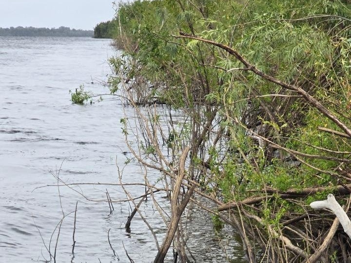 Найдено тело ребенка, провалившегося под лед в речпорту Сургута в январе