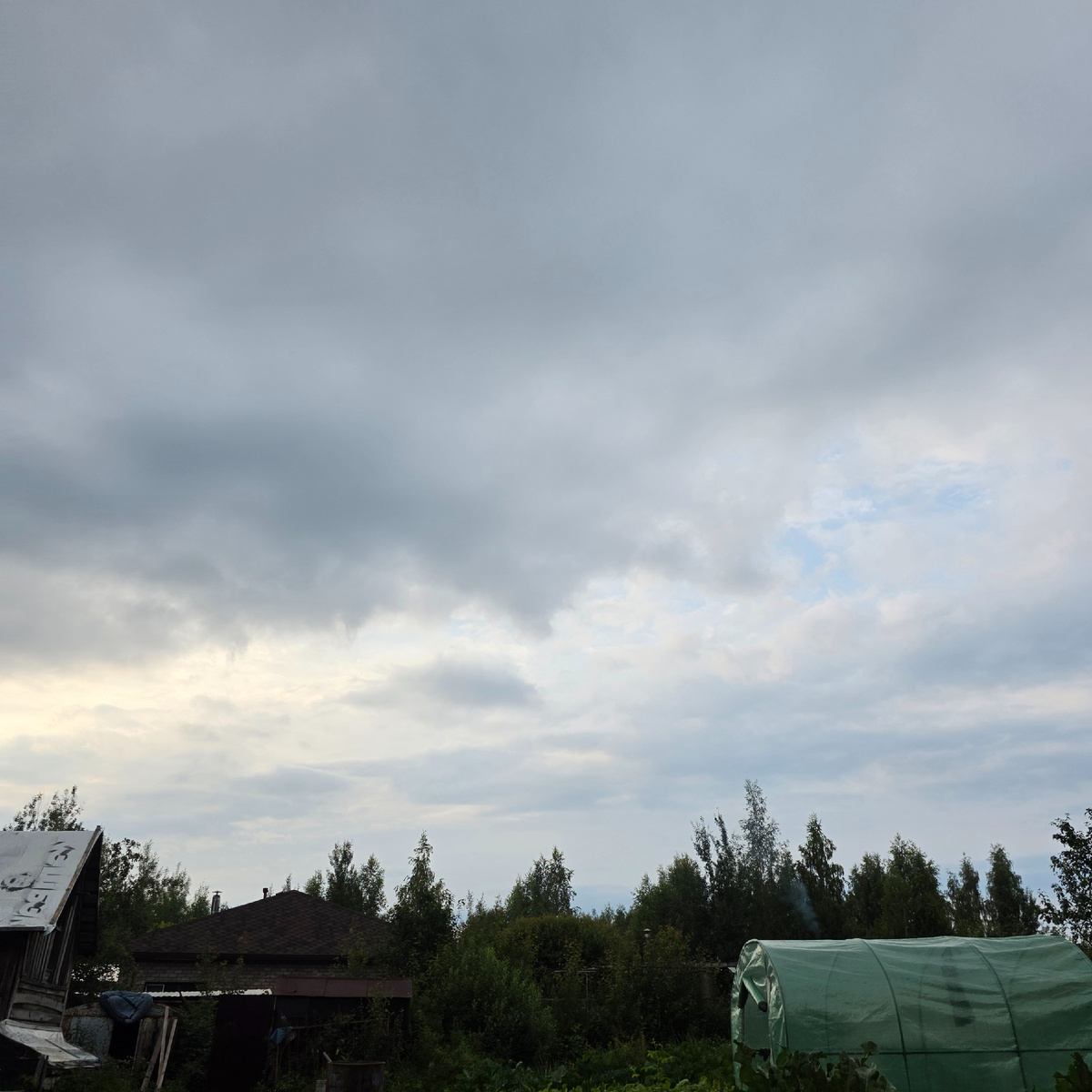 Фото автора. На даче 20 июля вечером. Надвигались тучи, но дождя не было