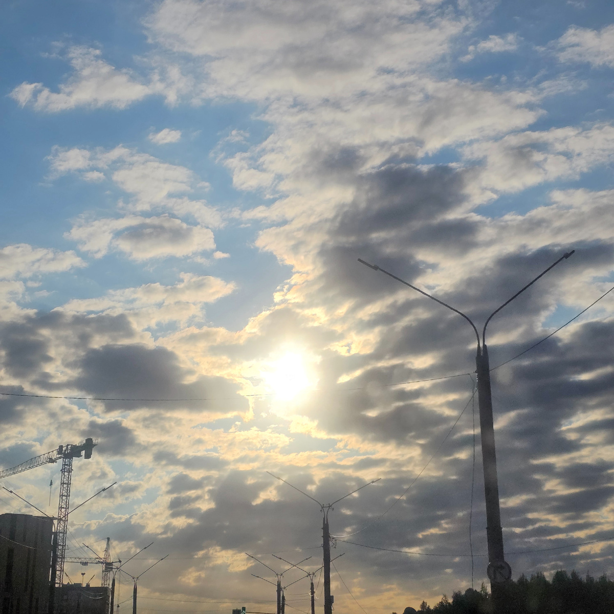 Фото автора. Едем с дачи в город рано утром 