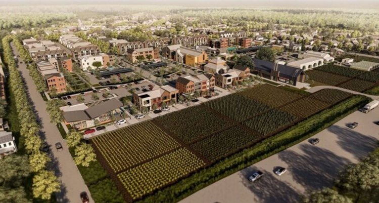    Фото: Texas A&M University