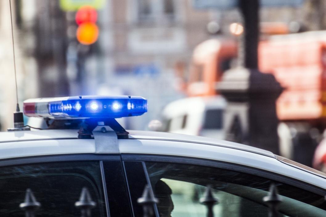 | Фото: Сергей Елесин, ИА "Тюменская линия"