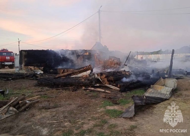    Пять смертей на пожаре: появились подробности трагедии в Илекском районе Оренбуржье