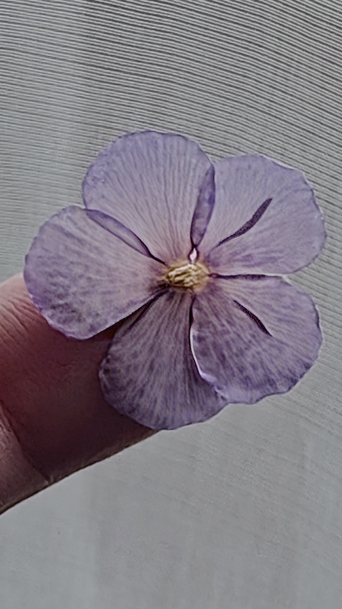 ©Рукотворчество КЕА. DOES KEA