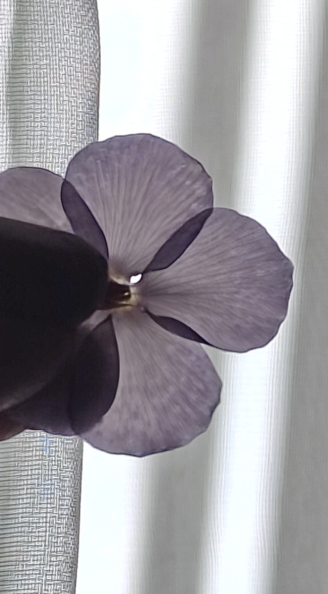 ©Рукотворчество КЕА. DOES KEA