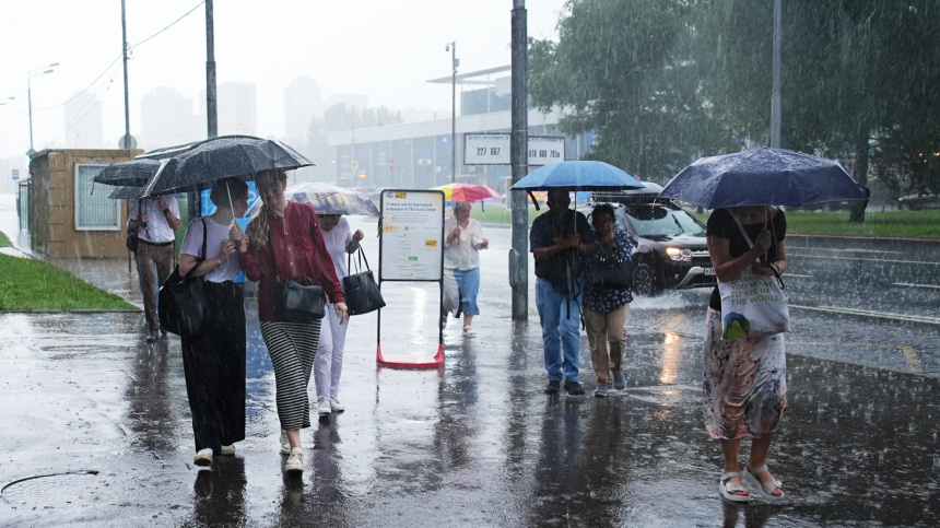    Фото: ИЗВЕСТИЯ/Сергей Лантюхов; 5-tv.ru