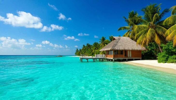    Фото: Нейросеть "Шедеврум"