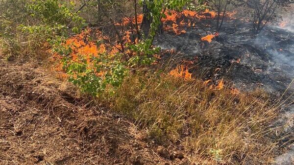    © МЧС Республики Крым