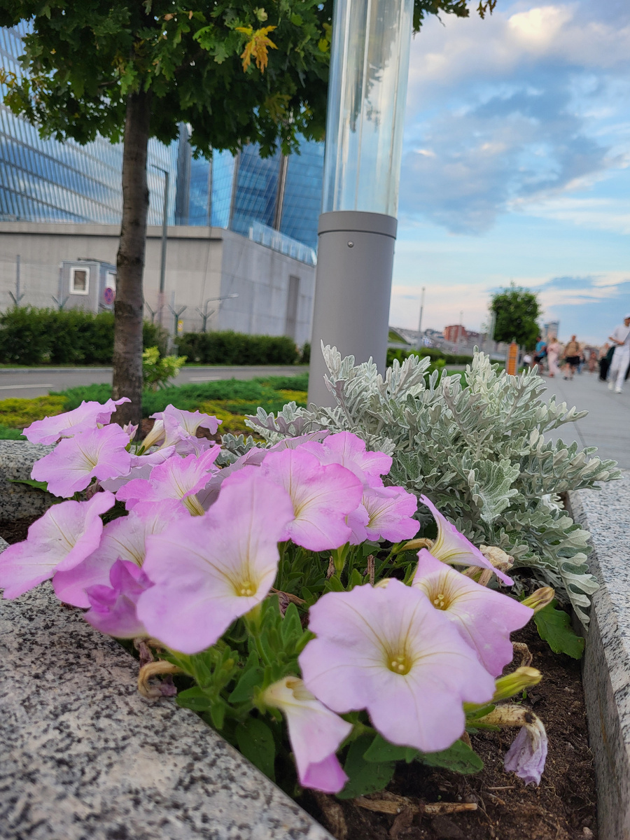 Фото автора. Вчера с мужем ходили погулять