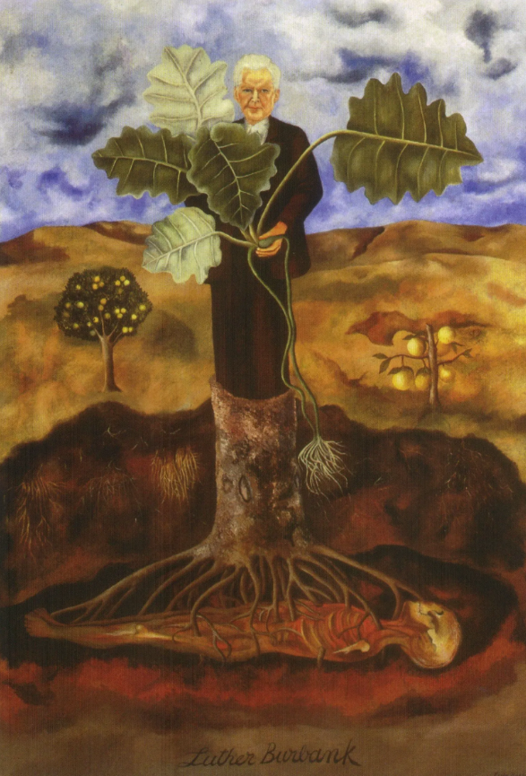 Портрет ботаника Лютера Бербанка. Фрида Кало. Дата создания: 1931.