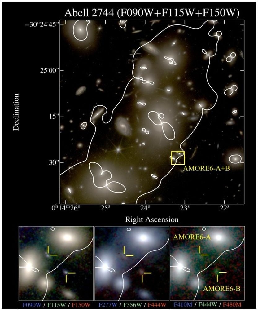 Источник: Morishita et al. 2025. Nature  📷
