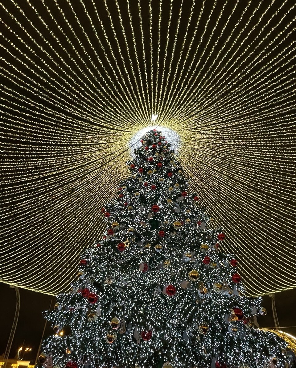 Новогодняя красавица