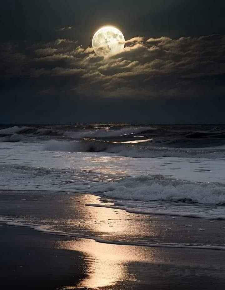 Лунная ночь на берегу моря.