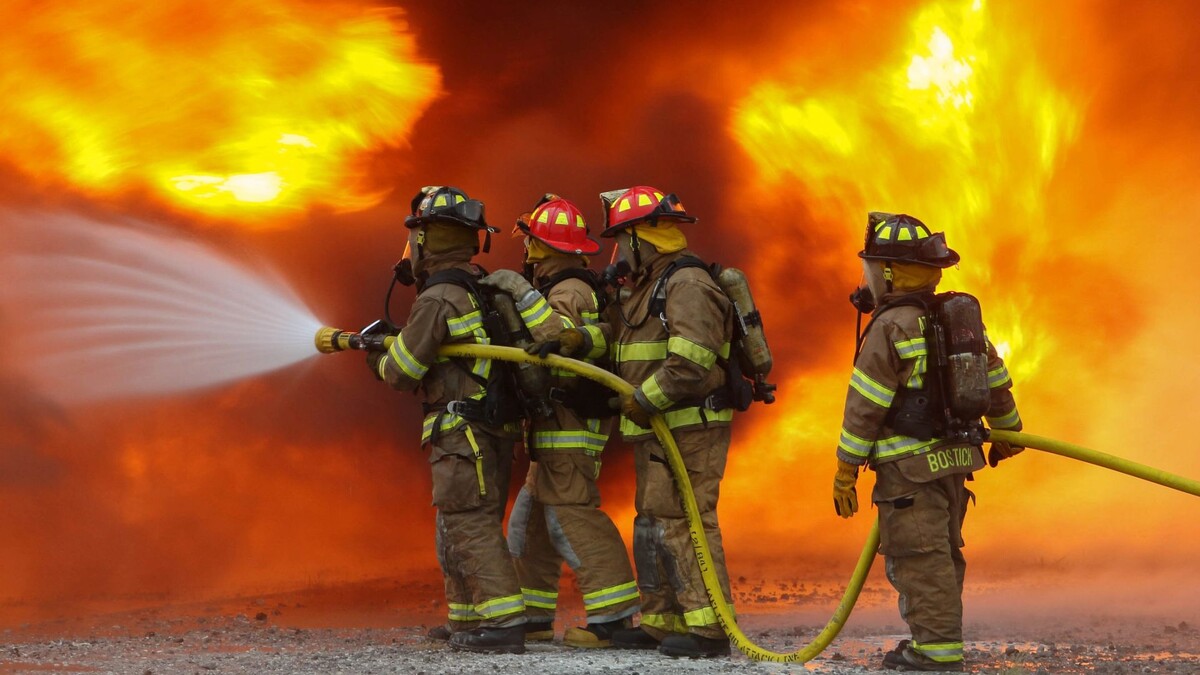    Фото: Gregory Simpson / Shutterstock / Fotodom