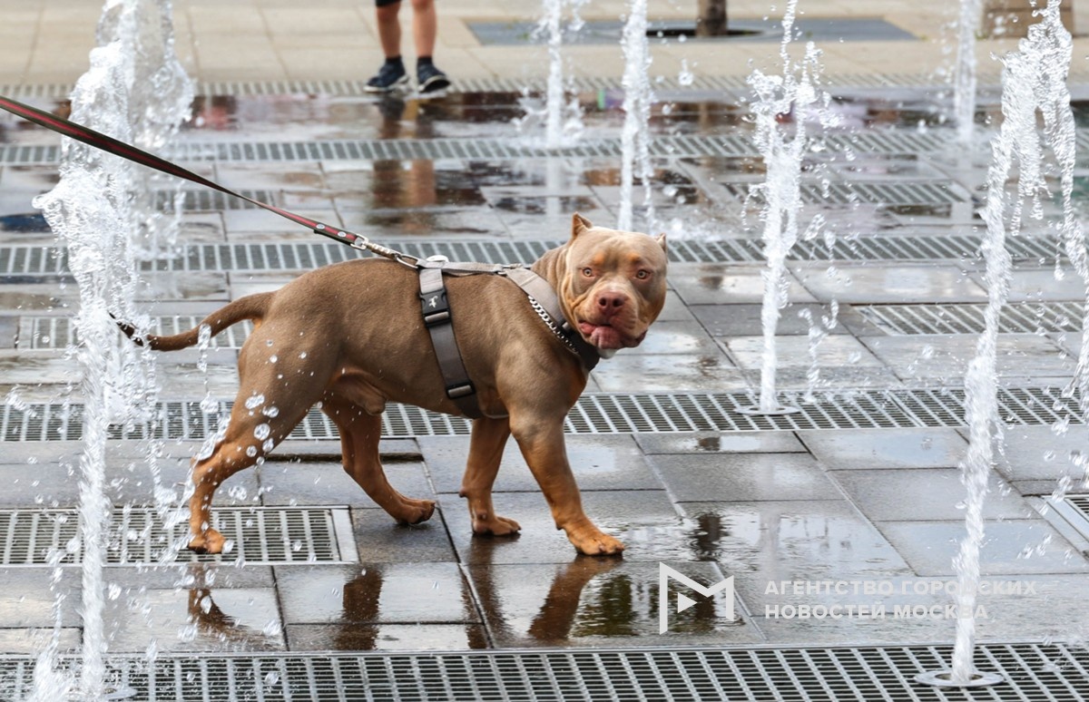 Фотограф: Ярослав Чингаев
