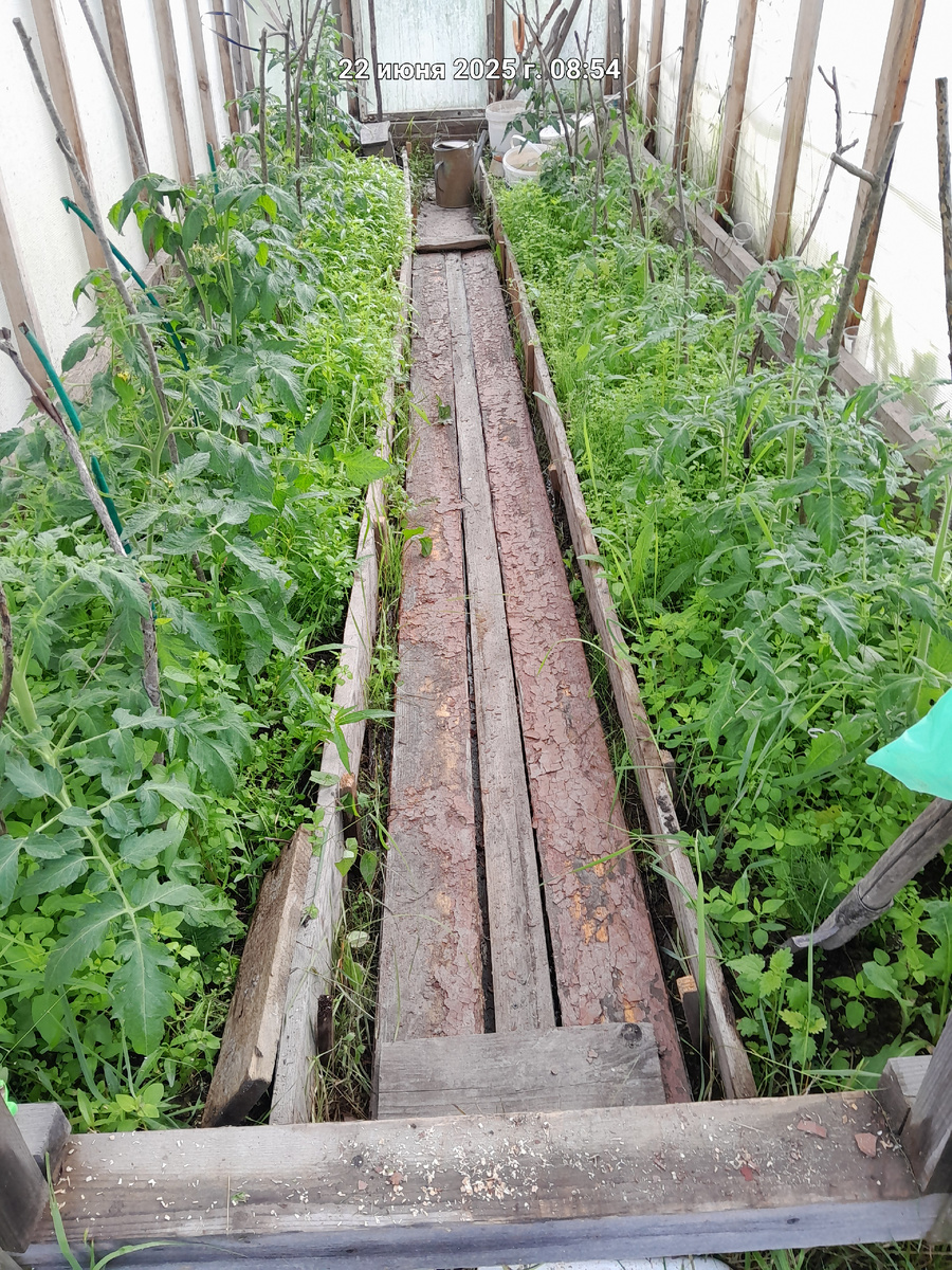 Сделала новый пол, вместо месива грязи