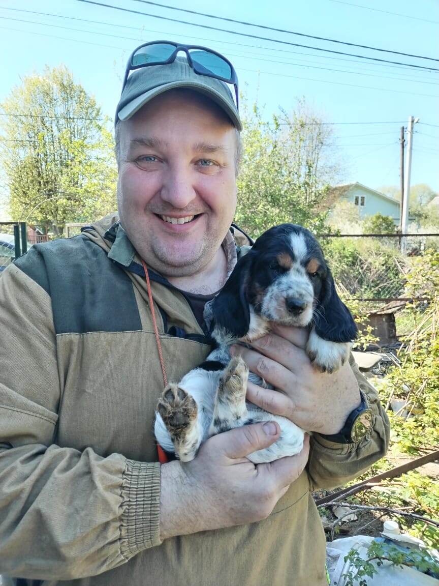 Арнин щен, с подпалинами