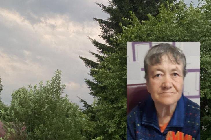    Фото - «ЛизаАлерт» в Новосибирской области. Коллаж VN.ru