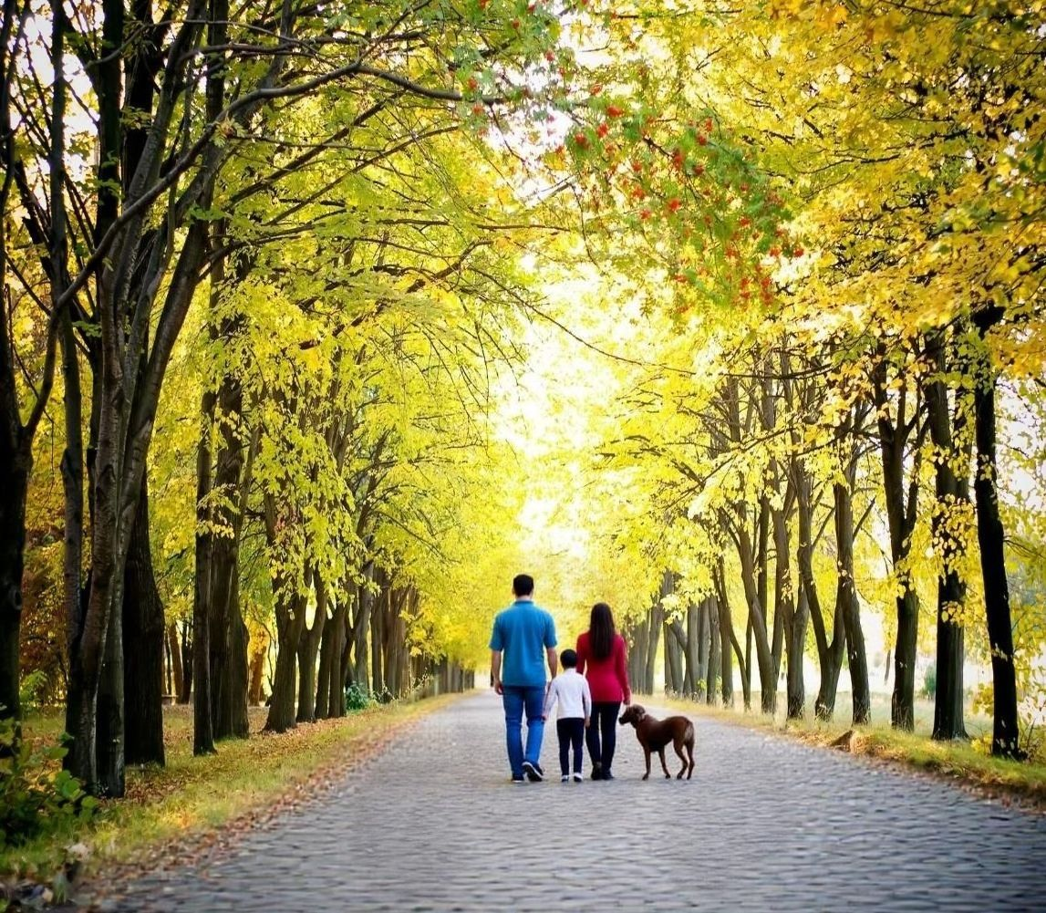 Живописная аллея Лопатинского сада, в тени раскидистых деревьев гуляют люди