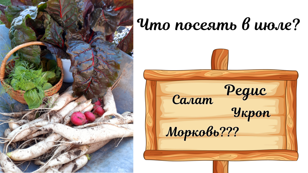 В изображении использованы материалы www.freepik.com brgfx