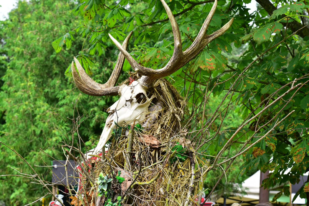 Фото Анна Игнатеня для 024.by