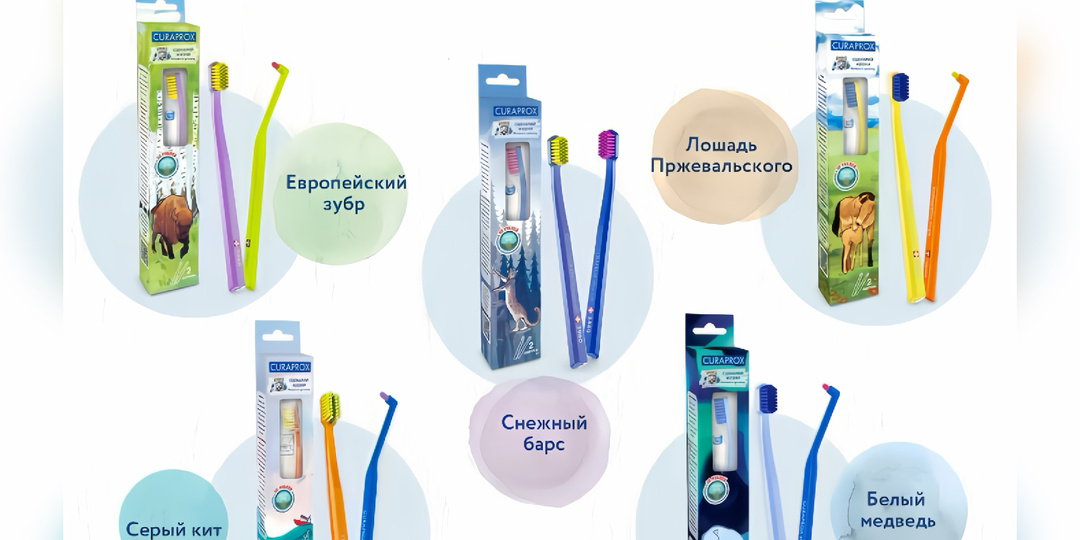 Сценарий жизни