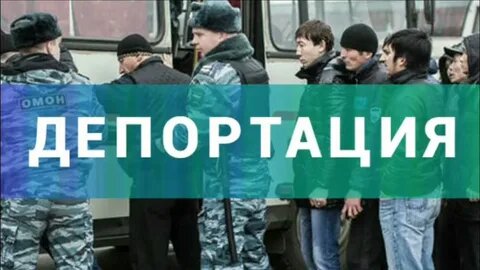 Картинка взята из открытых источников интернета.