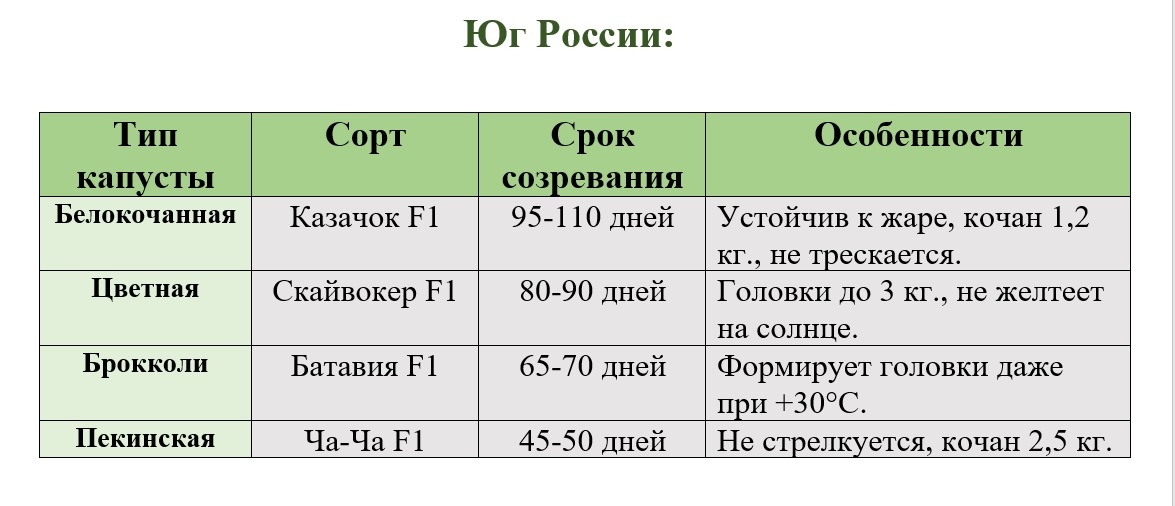 Сажайте в конце августа для осеннего урожая — избежите жары!