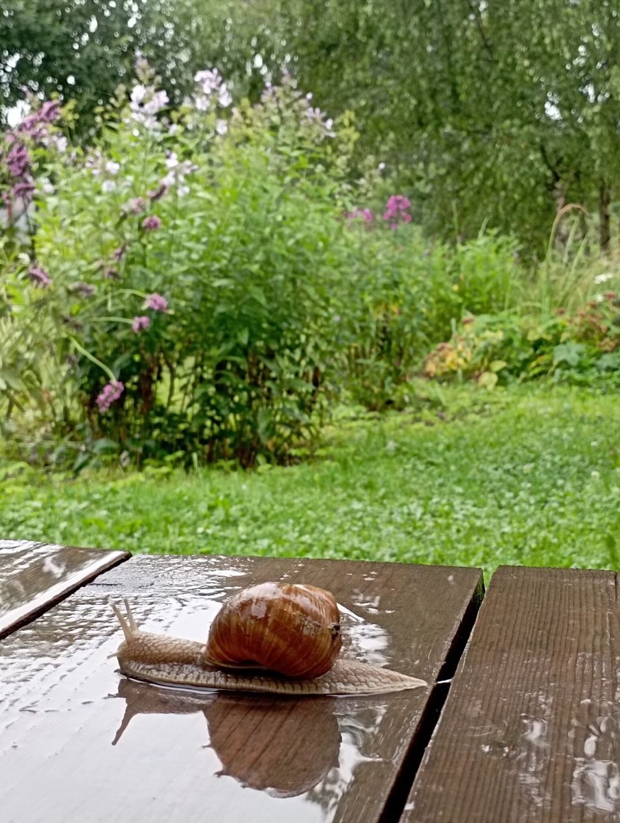 Времени не существует...