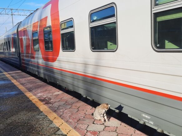    "Югополис"